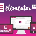 Elementor PRO