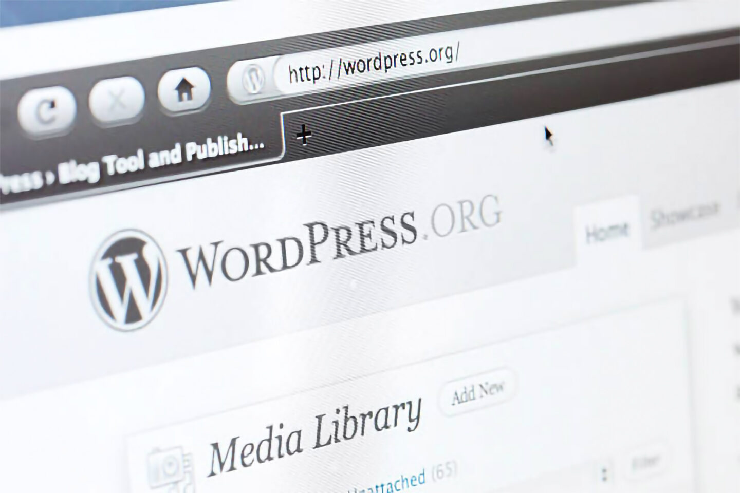 WordPress malware destroys servers
Z News WordPress malware destroys servers
Z News